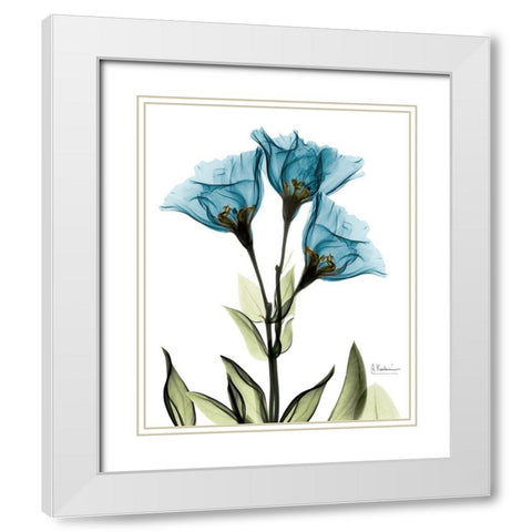 Gentian L301 White Modern Wood Framed Art Print with Double Matting by Koetsier, Albert