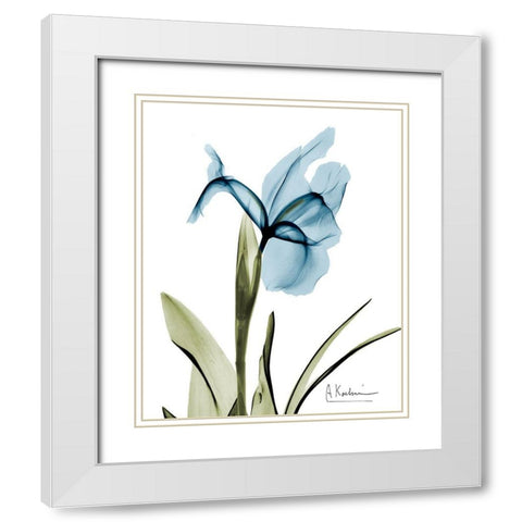 Iris B76 White Modern Wood Framed Art Print with Double Matting by Koetsier, Albert