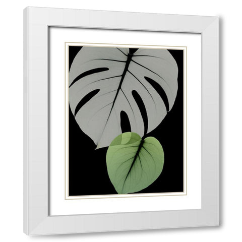 Botanical Embrace 1 White Modern Wood Framed Art Print with Double Matting by Koetsier, Albert