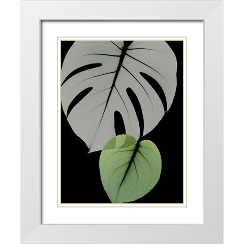 Botanical Embrace 1 White Modern Wood Framed Art Print with Double Matting by Koetsier, Albert