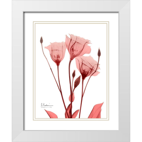 Marvelous Gentian 1 White Modern Wood Framed Art Print with Double Matting by Koetsier, Albert