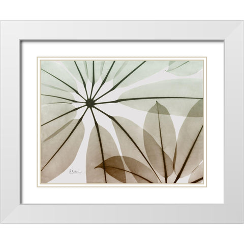 Earthy Brassai White Modern Wood Framed Art Print with Double Matting by Koetsier, Albert