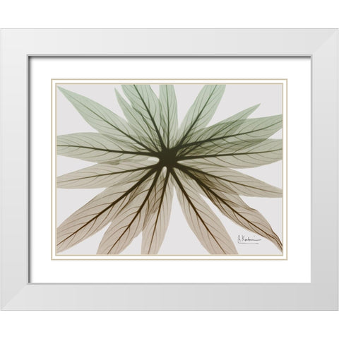 Earthy Echium White Modern Wood Framed Art Print with Double Matting by Koetsier, Albert