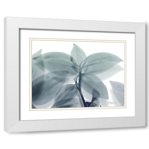 Lustful Focus White Modern Wood Framed Art Print with Double Matting by Koetsier, Albert