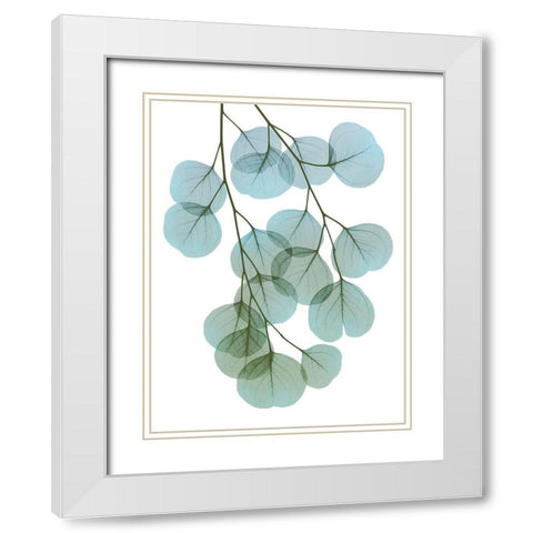 Vibrant Eucalyptus 2 White Modern Wood Framed Art Print with Double Matting by Koetsier, Albert