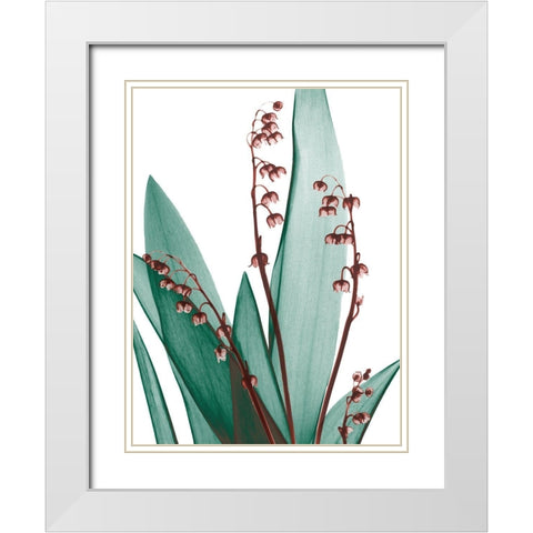 Elegance Blush 1 White Modern Wood Framed Art Print with Double Matting by Koetsier, Albert