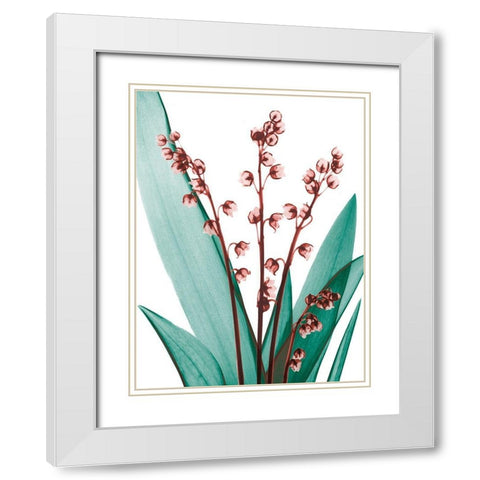 Elegance Blush 2 White Modern Wood Framed Art Print with Double Matting by Koetsier, Albert