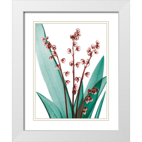 Elegance Blush 2 White Modern Wood Framed Art Print with Double Matting by Koetsier, Albert