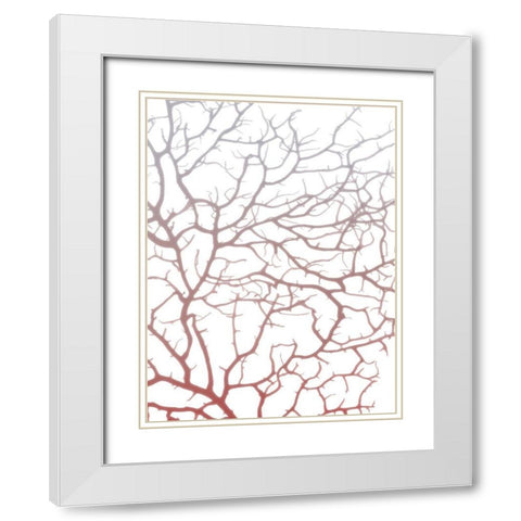 Coral Sea Fan 1 White Modern Wood Framed Art Print with Double Matting by Koetsier, Albert