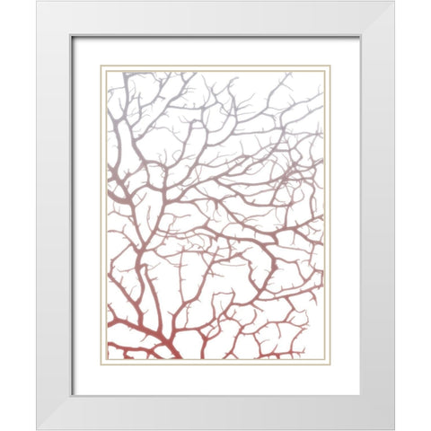 Coral Sea Fan 1 White Modern Wood Framed Art Print with Double Matting by Koetsier, Albert