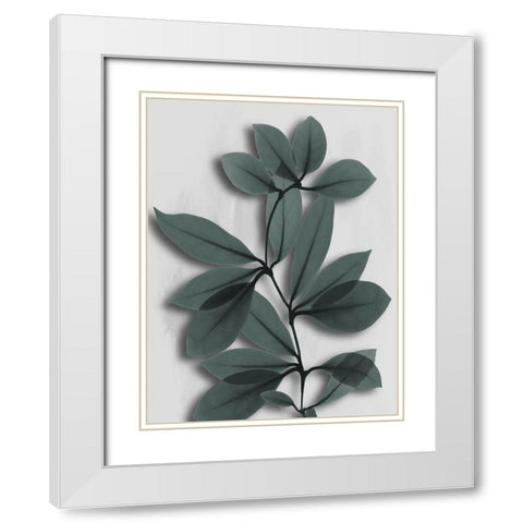 Silver Pine Wonder 2 White Modern Wood Framed Art Print with Double Matting by Koetsier, Albert