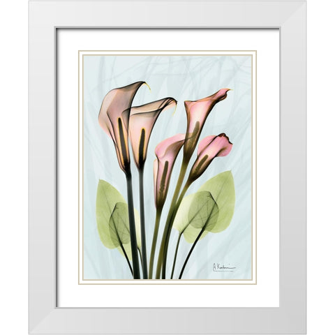 Calla Lily Crystalis 1 White Modern Wood Framed Art Print with Double Matting by Koetsier, Albert