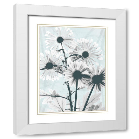 Gerbera Crystalis 1 White Modern Wood Framed Art Print with Double Matting by Koetsier, Albert