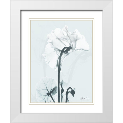 Desired Cyclamen 1 White Modern Wood Framed Art Print with Double Matting by Koetsier, Albert