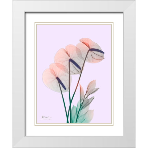 Flamingo Delight 3 White Modern Wood Framed Art Print with Double Matting by Koetsier, Albert