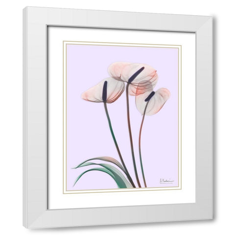 Flamingo Delight 4 White Modern Wood Framed Art Print with Double Matting by Koetsier, Albert