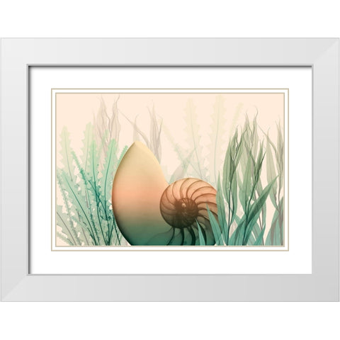 Underwater Dawn 1 White Modern Wood Framed Art Print with Double Matting by Koetsier, Albert