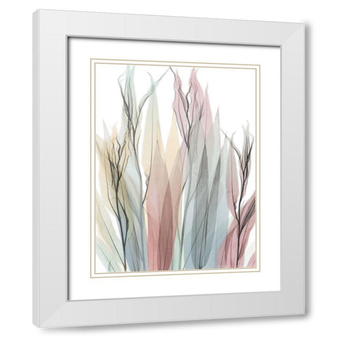 Neutral Degrees White Modern Wood Framed Art Print with Double Matting by Koetsier, Albert