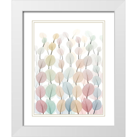 Neutral Forest 2 White Modern Wood Framed Art Print with Double Matting by Koetsier, Albert