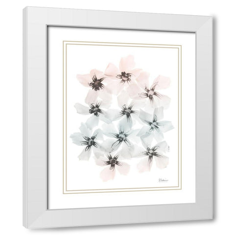 Oleander Blush Fantasy 1 White Modern Wood Framed Art Print with Double Matting by Koetsier, Albert