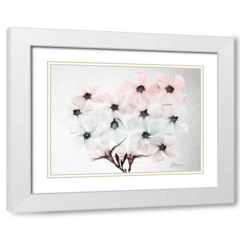 Oleander Fantasy 2 White Modern Wood Framed Art Print with Double Matting by Koetsier, Albert