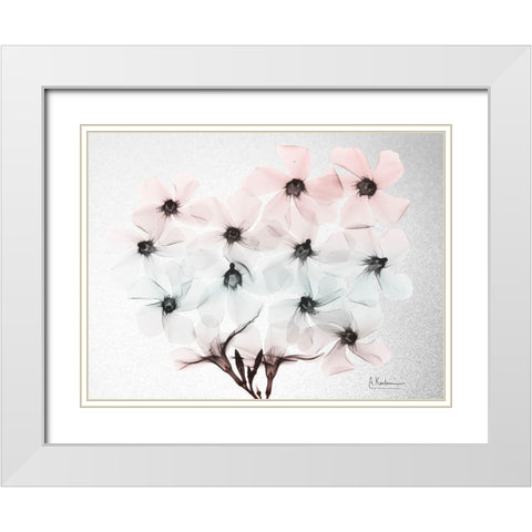 Oleander Fantasy 2 White Modern Wood Framed Art Print with Double Matting by Koetsier, Albert