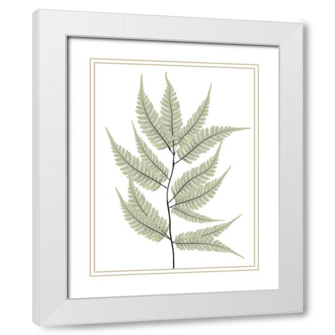 Fern Tree White Modern Wood Framed Art Print with Double Matting by Koetsier, Albert