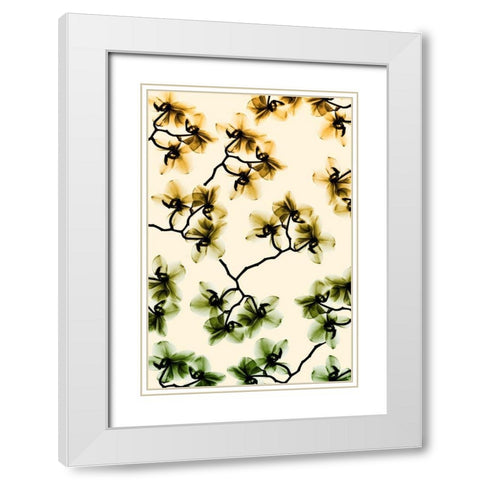 Peeking Foliage 3 White Modern Wood Framed Art Print with Double Matting by Koetsier, Albert