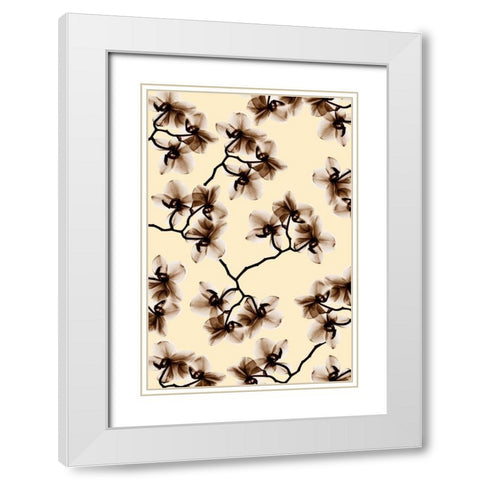 Peeking Foliage 1 White Modern Wood Framed Art Print with Double Matting by Koetsier, Albert