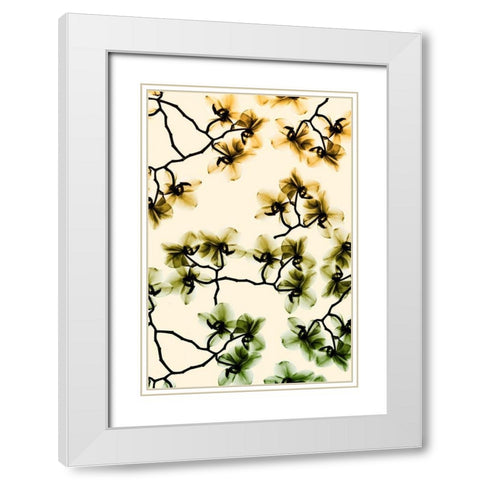 Peeking Foliage 4 White Modern Wood Framed Art Print with Double Matting by Koetsier, Albert