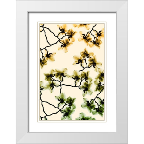 Peeking Foliage 4 White Modern Wood Framed Art Print with Double Matting by Koetsier, Albert