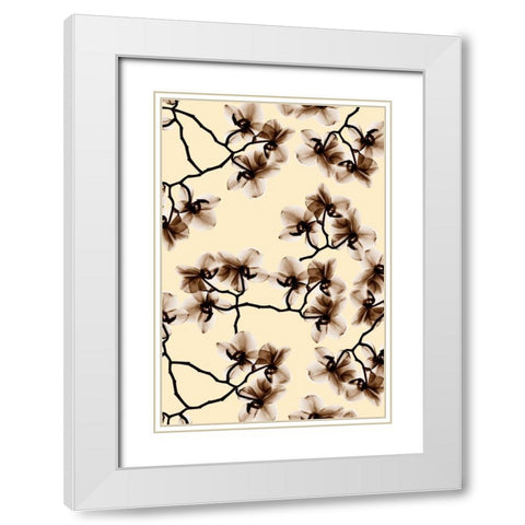 Peeking Foliage 2 White Modern Wood Framed Art Print with Double Matting by Koetsier, Albert