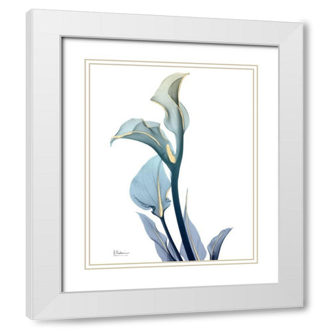 Gold Sprinkled Calla Lily White Modern Wood Framed Art Print with Double Matting by Koetsier, Albert