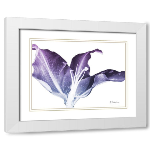 Radiant Blossom 2 White Modern Wood Framed Art Print with Double Matting by Koetsier, Albert