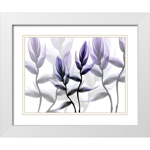 Lavender Heaven 1 White Modern Wood Framed Art Print with Double Matting by Koetsier, Albert