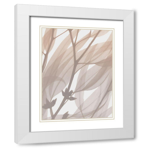 Desert Passion 1 White Modern Wood Framed Art Print with Double Matting by Koetsier, Albert