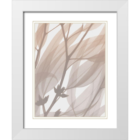 Desert Passion 1 White Modern Wood Framed Art Print with Double Matting by Koetsier, Albert