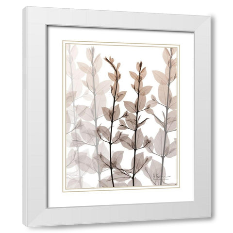 Dry Embrace 1 White Modern Wood Framed Art Print with Double Matting by Koetsier, Albert