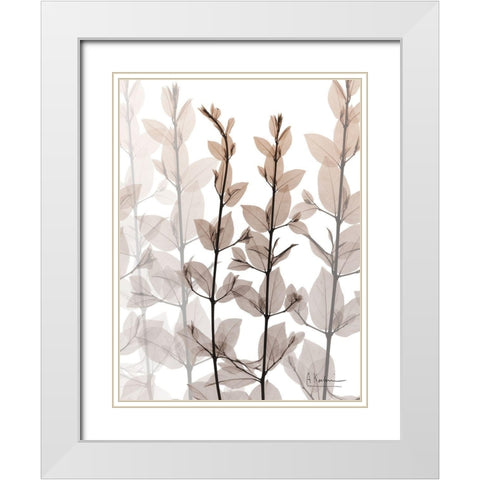 Dry Embrace 1 White Modern Wood Framed Art Print with Double Matting by Koetsier, Albert