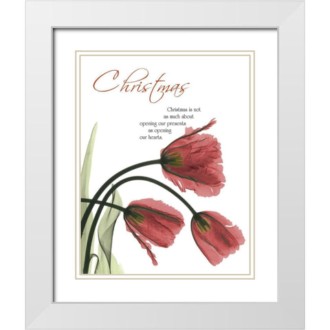 Christmas Tulips 1 White Modern Wood Framed Art Print with Double Matting by Koetsier, Albert