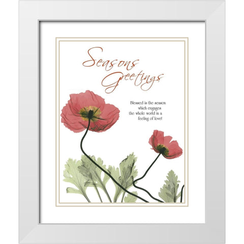 Holiday Poppies 1 White Modern Wood Framed Art Print with Double Matting by Koetsier, Albert