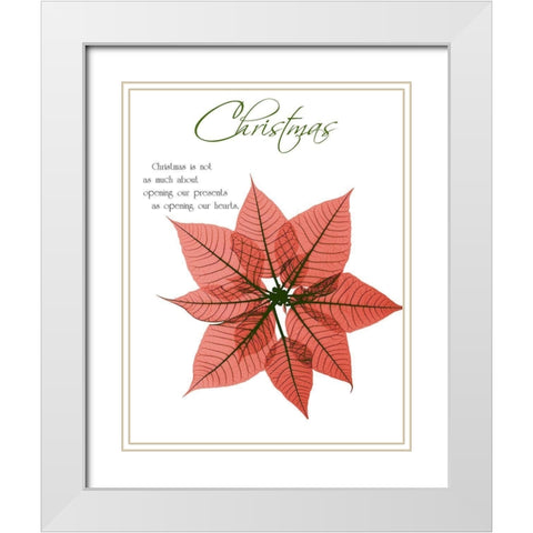 Seasonal Poinsettia 1 White Modern Wood Framed Art Print with Double Matting by Koetsier, Albert