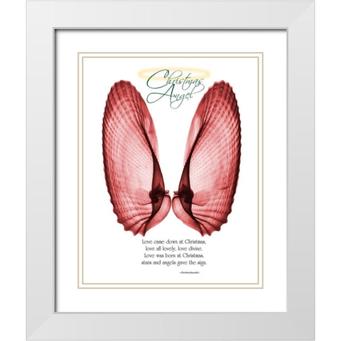 Christmas Wings 1 White Modern Wood Framed Art Print with Double Matting by Koetsier, Albert