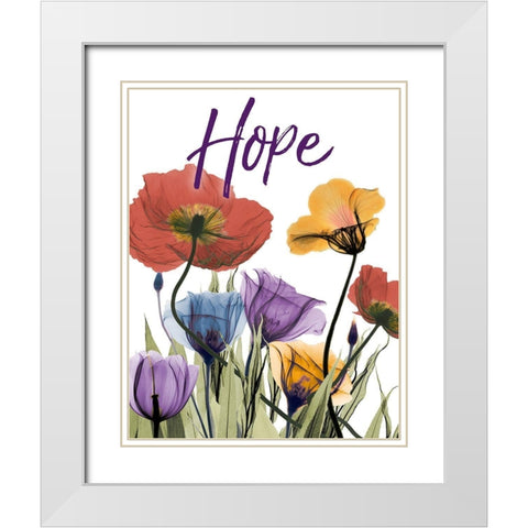 Hopeful Flowerscape White Modern Wood Framed Art Print with Double Matting by Koetsier, Albert