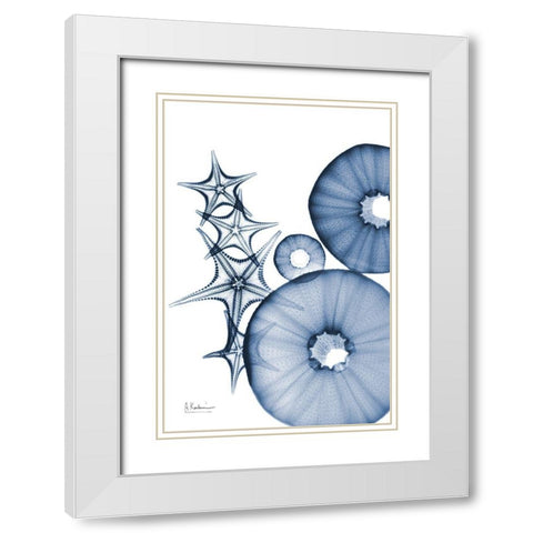 Indigo Aquatic Universe 1 White Modern Wood Framed Art Print with Double Matting by Koetsier, Albert