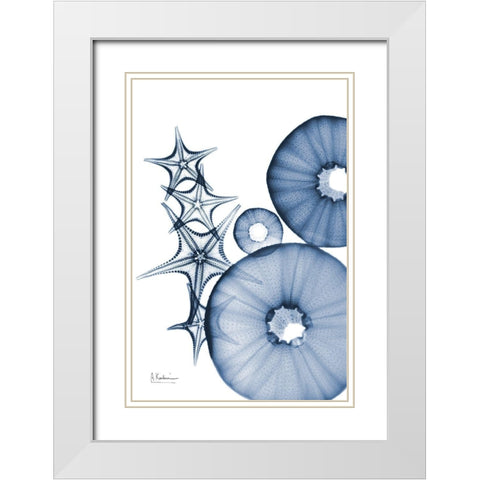 Indigo Aquatic Universe 1 White Modern Wood Framed Art Print with Double Matting by Koetsier, Albert