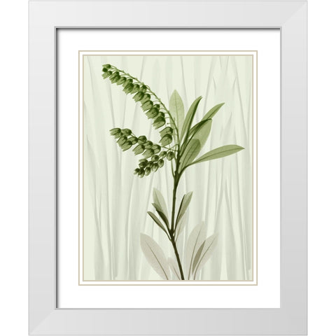 Radiant Greens 1 White Modern Wood Framed Art Print with Double Matting by Koetsier, Albert