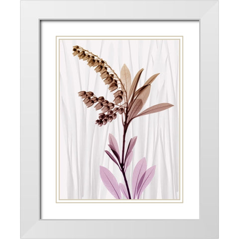 Radiant Snowdrops 1 White Modern Wood Framed Art Print with Double Matting by Koetsier, Albert