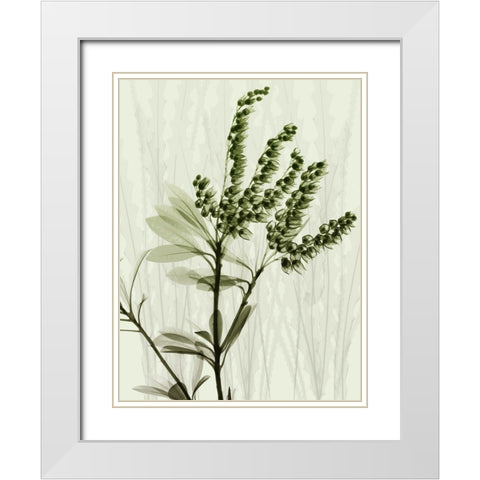 Radiant Greens 2 White Modern Wood Framed Art Print with Double Matting by Koetsier, Albert