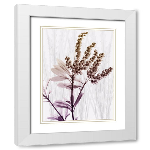 Radiant Snowdrops 2 White Modern Wood Framed Art Print with Double Matting by Koetsier, Albert